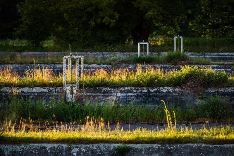 Berlin: Photo course Landschafts- & Naturfotografie - The Authentic Experience: What Real Participants Say