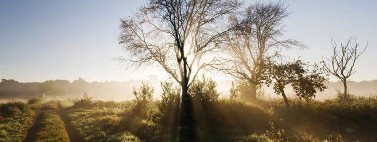 Berlin: Photo course Landschafts- & Naturfotografie - Deep Dive into the Itinerary and Locations
