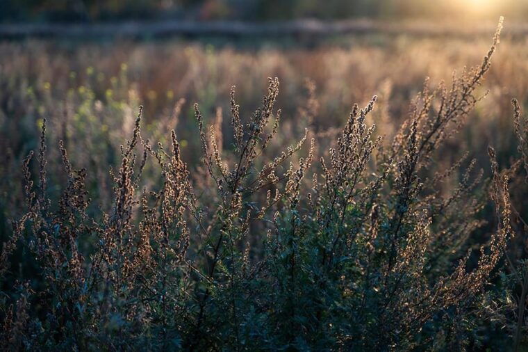 Berlin: Photo course Landschafts- & Naturfotografie - FAQ