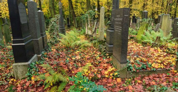 Berlin: Skip-the-line Jewish Museum Private Guided Tour - Booking and Flexibility Options