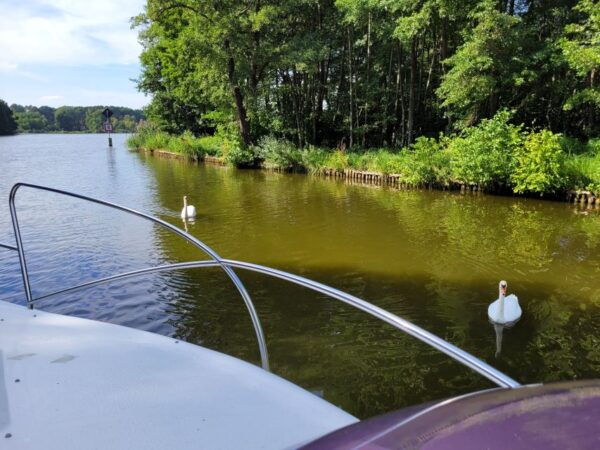 Berlin: South Berlin Yacht Tour With Swim Stop - Common Questions