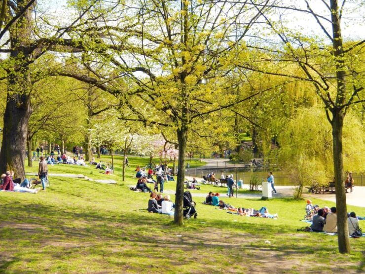 Berlin: Street Food Bike Tour - Key Points