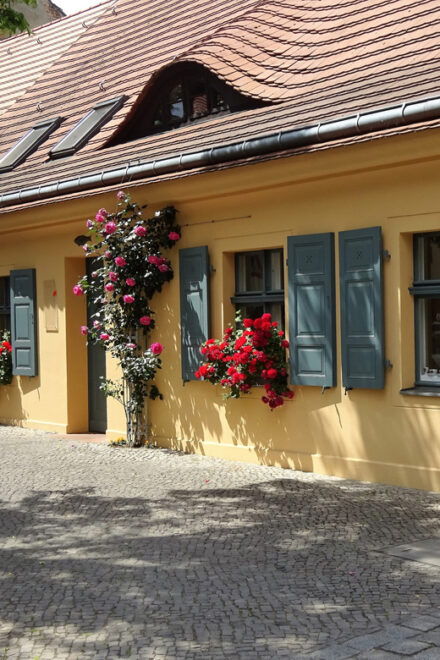 Berlin: The Captain of Köpenick Self-guided Walking Tour - Accessibility