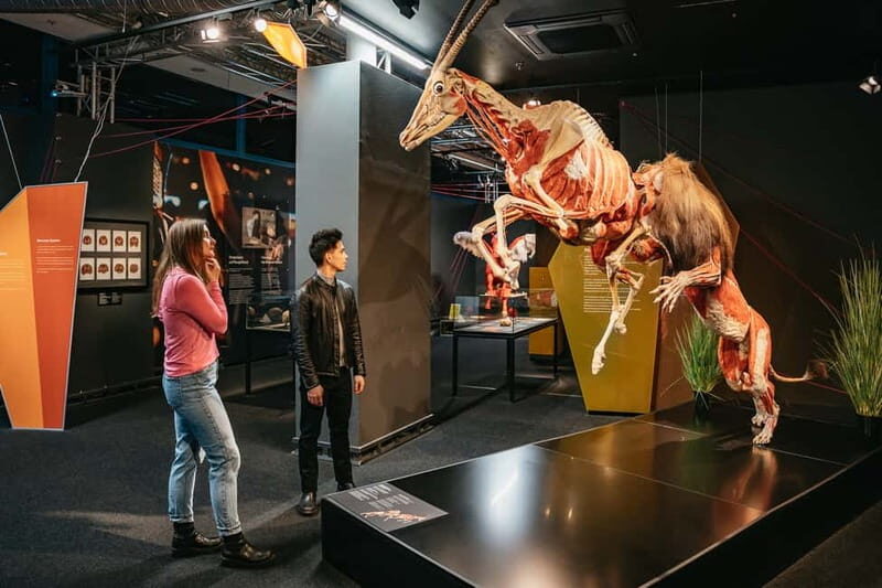 Berlin: Tickets for the BODY WORLDS Museum in Berlin - The Educational Impact and Unique Features