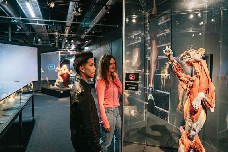 Berlin: Tickets for the BODY WORLDS Museum in Berlin - Who Will Love This Experience?