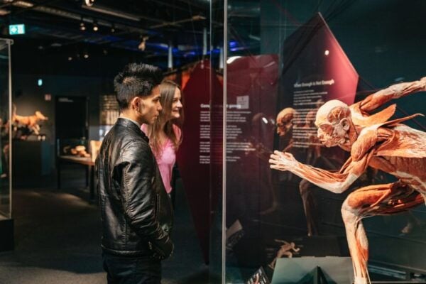 Berlin: Tickets for the BODY WORLDS Museum in Berlin - Customer Reviews