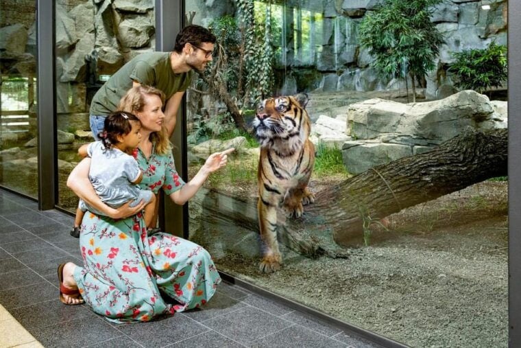 Berlin: Tickets for the Tierpark in East Berlin - Who Would Enjoy This Tour?