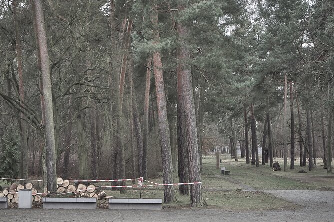 Berlin to Sachsenhausen Concentration Camp Tour by Car - Tour Details and Inclusions