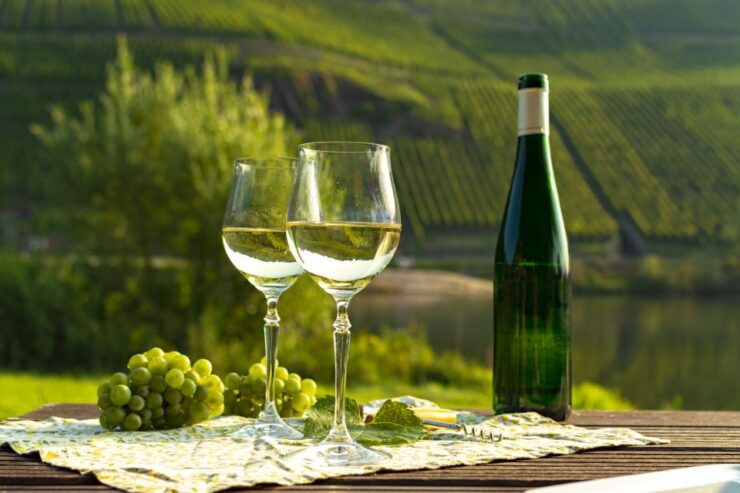 Berlin: Wine Tasting Tour With Optional Appetizers - Highlights of the Wine Tasting Tour