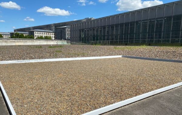 Berlin: World War II and Cold War Guided Walking Tour - Common Questions