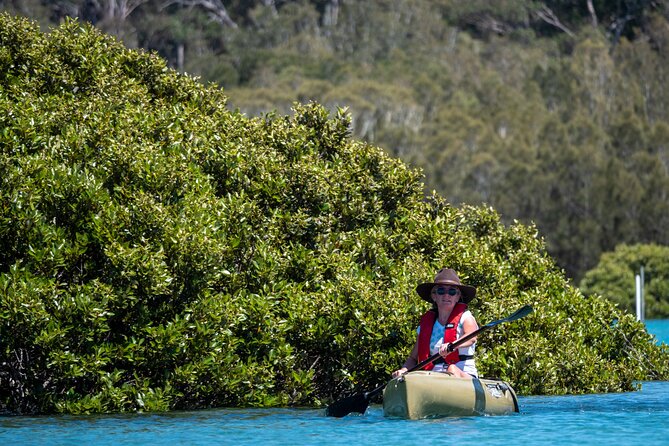 Bermagui River Kayak Tour - Contact and Pricing Information