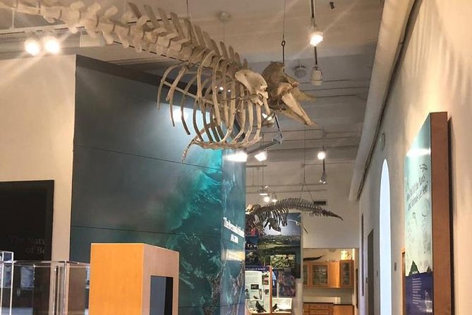 Bermuda Aquarium and Crystal Caves Admission - Specific Reviews of the Tour
