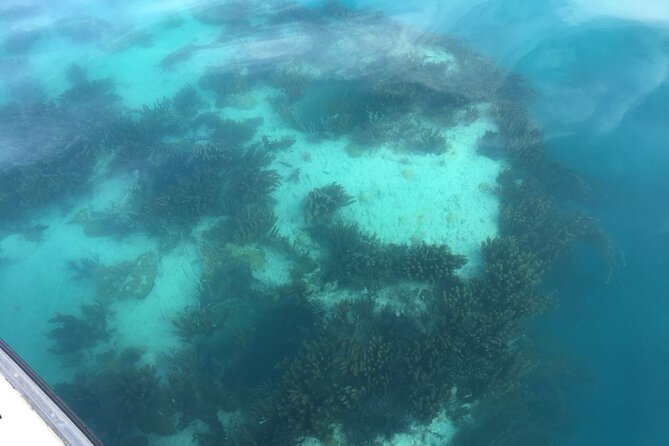 Bermuda Glass Bottom Boat Cruise - Reviews and Ratings