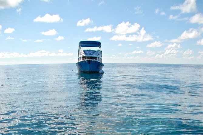 Bermuda Glass Bottom Boat Cruise - Common Questions