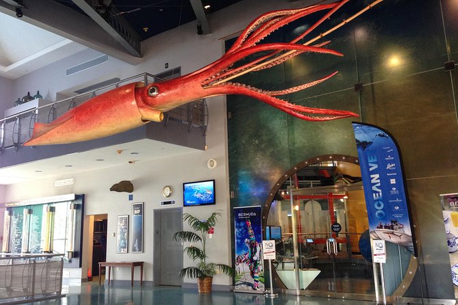Bermuda Underwater Exploration Institute and Aquarium Adventure Day - Overview of Bermuda Underwater Exploration Institute
