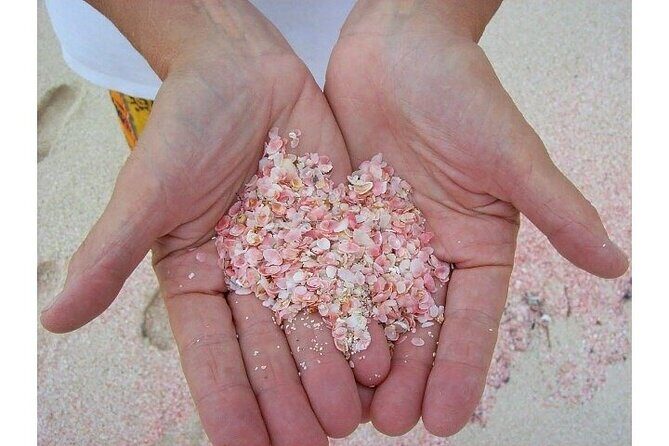 Bermudaful Island Beach Hop - The Itinerary: What to Expect