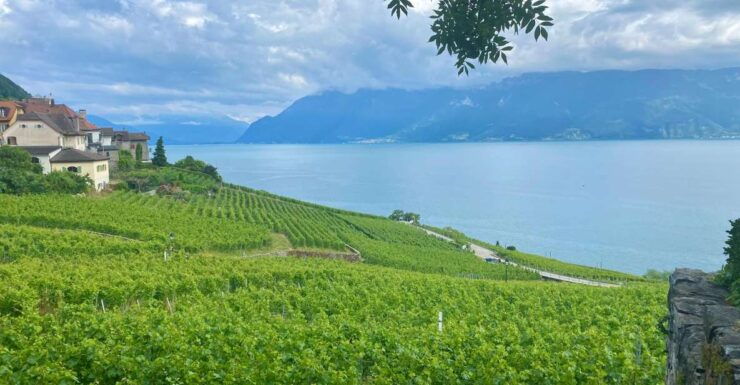 Bern Private Tour: Gruyères, Cheese, & Lavaux UNESCO Wine - Cancellation Policy
