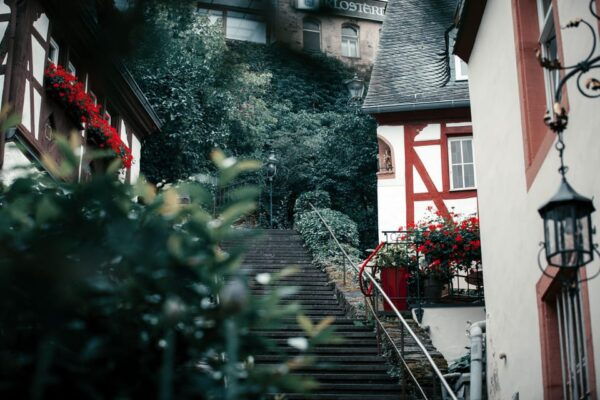 Bernkastel-Kues: Christmas Market Walking Tour - Tips for Visitors
