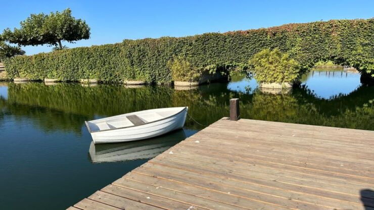 Berry Tasting (Strawberries, Raspberries and Blueberries) - Highlights of the Berry Tasting