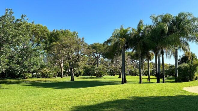Berry Tasting (Strawberries, Raspberries and Blueberries) - What to Expect During Berry Tasting