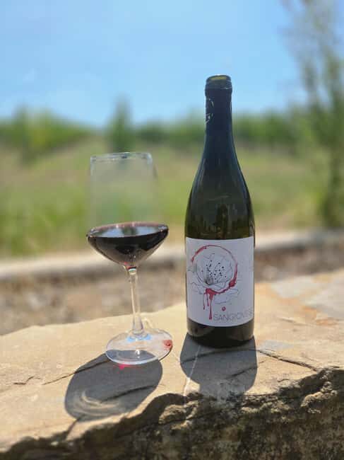 Bertinoro: Authentic Romagna Wine Tasting Experience - Good To Know