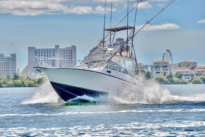 Bertram 35ft boat sport fishing cancun up to 6 passengers - Who Should Consider This Tour?