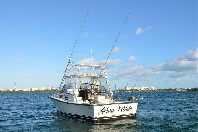 Bertram 35ft boat sport fishing cancun up to 6 passengers - FAQ