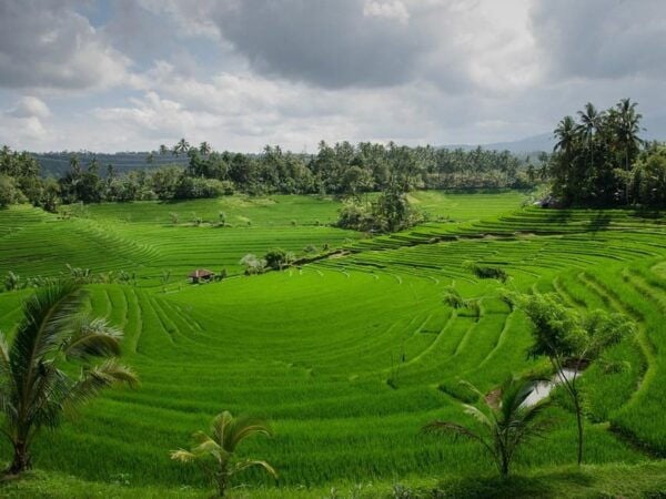 Besakih Temple: Penglipuran, Semarapura Palace /Private Day - Important Visitor Information