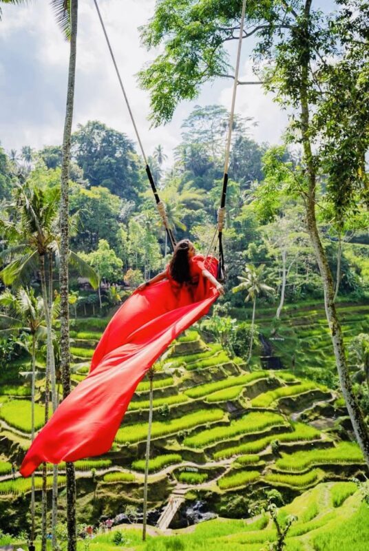 Besakih Temple, Rice Terrace, Waterfall and Kintamani Private Tour - How to make the day work for you