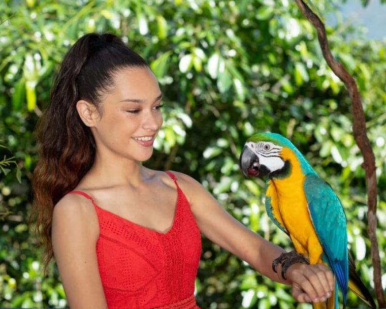 Bespoke Birdworld - An Intimate Experience! - The Sum Up  