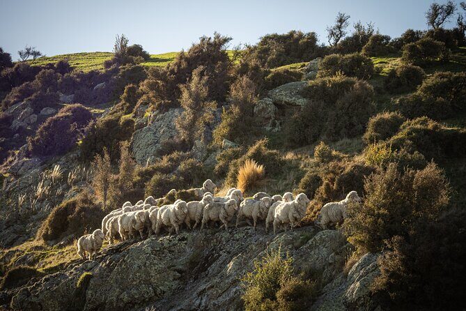 Bespoke Guided High Country Hiking - A Deep Dive into the High Country Experience