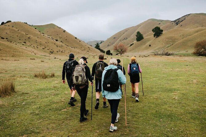 Bespoke Guided High Country Hiking - Who Will Love This Tour?