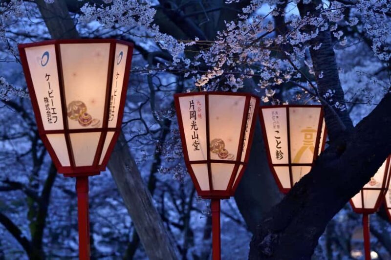 Bespoke Kanazawa Private Night Tour: Local Food & Secrets - Practical Details and Value