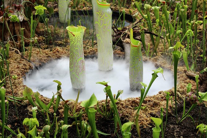 Bespoke Off-the-Beaten-Path Tour of Inner Sydney - Customizable Itinerary for Hidden Gems