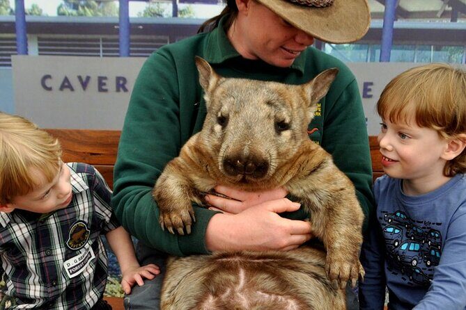 Bespoke Perth City and Surrounds Day Tour - Exploring Perth with a Private Full-Day Tour