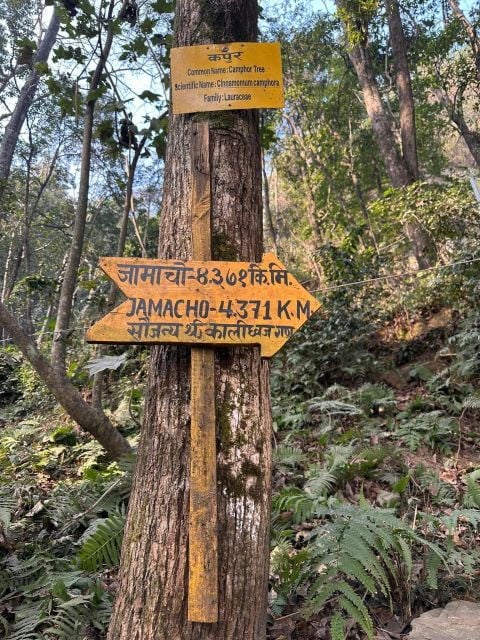 Best 1 Day Hiking Near Kathmandu: Nagarjun Jamacho Hike - Activity Details