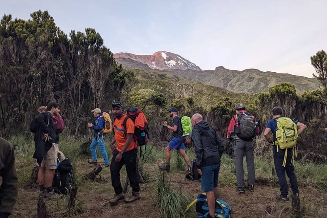 Best 1# Day Kilimanjaro Trek Machame With Kilinge Adventure - Good To Know