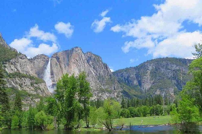 Best 1-Day Yosemite National Park Private Tour from San Francisco - What Travelers Say: Genuine Insights from Reviews