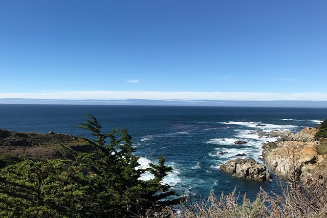 BEST 17-Mile Drive,Carmel & Monterey Day Trip From San Francisco - Positive Reviews and Testimonials