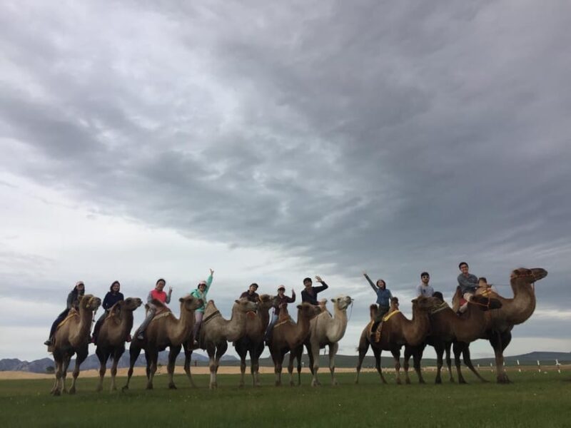 Best 6-Day Gobi Tour Discover Mongolia - Good To Know