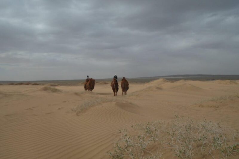 Best 6-Day Gobi Tour Discover Mongolia - Who Is This Tour Best For?