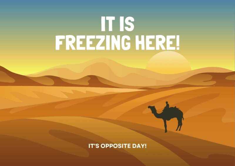 Best 6-Day Gobi Tour Discover Mongolia - Final Thoughts