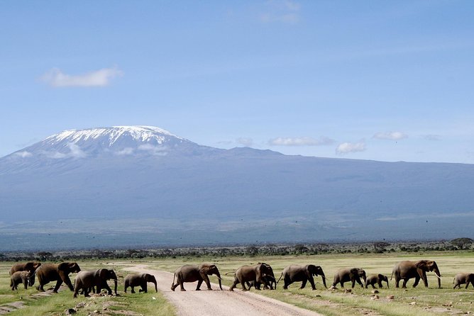 Best 7 Days Kenya Adventure Wildlife Safari - Accommodation Details and Amenities
