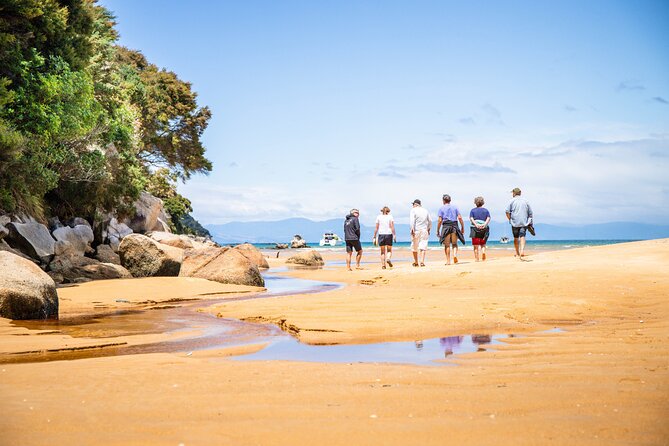 Best Abel Tasman Day Trip - Overview and Activities