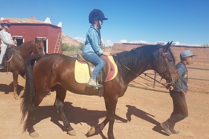 Best Atlas Mountains Experience - Cultural & Multi-Outdoor Activities Excursion - Private Tour From Marrakech