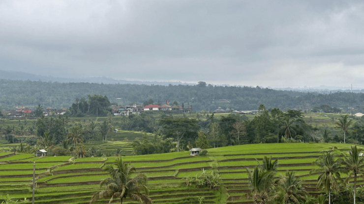 Best Attraction Waterfall and Temple North of Bali Tour - Itinerary Highlights
