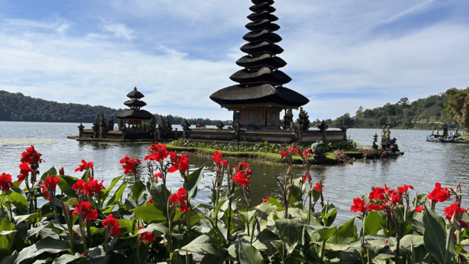 Best Attraction Waterfall and Temple North of Bali Tour - Inclusions