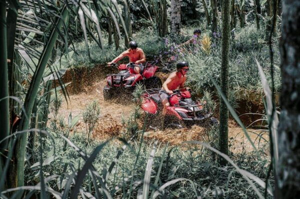 Best ATV Quad Bike Jungle Track and Mudy Track - Customer Reviews and Ratings