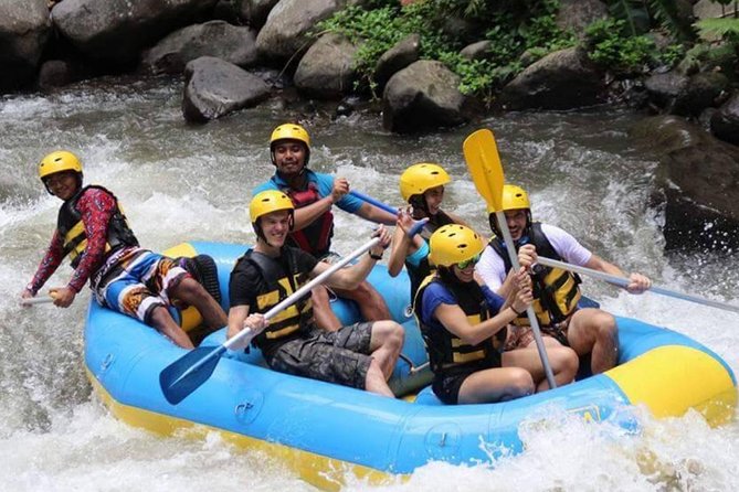 Best Bali Ayung River Rafting With Lunch - Inclusions and Exclusions