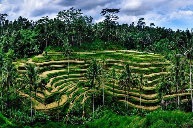 Best Bali Day Tour - Meeting and Pickup